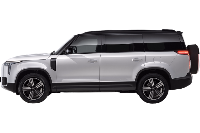 ROX 01 FAMILY EDITION